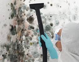 Best Environmental Consulting for Mold Prevention  in Thornwood, NY